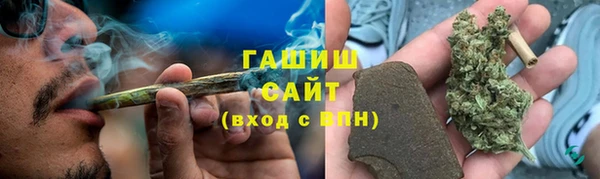 шишки Магадан