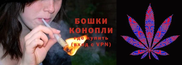 спиды Майский