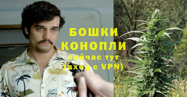 амф Мегион