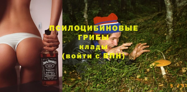спиды Майский