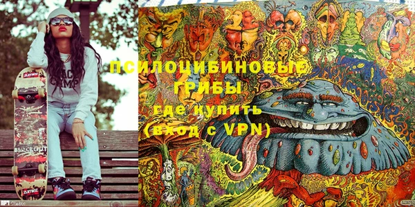 амф Мегион
