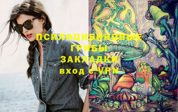 амф Мегион