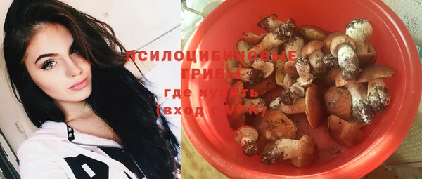 амф Мегион