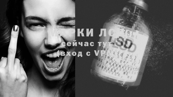 шишки Магадан