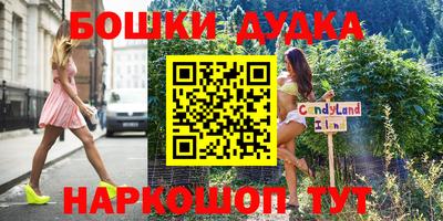 прущие грибы Абакан
