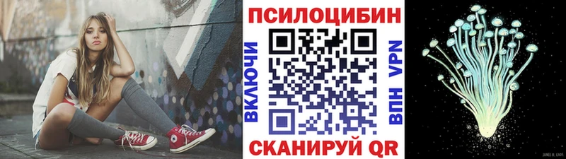Псилоцибиновые грибы Cubensis  Павловский Посад 