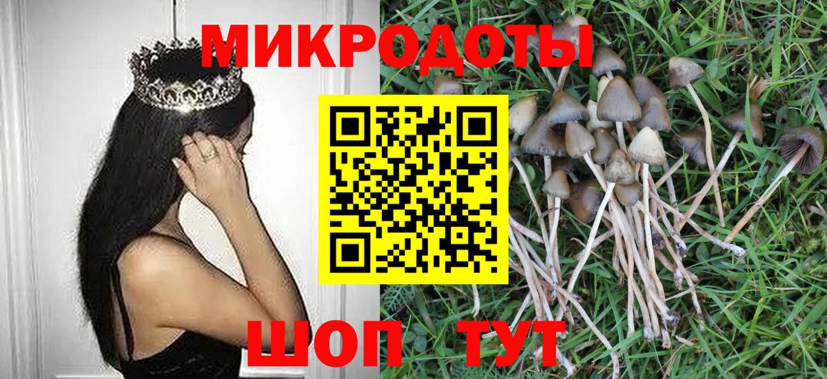 Галлюциногенные грибы мицелий Павловский Посад