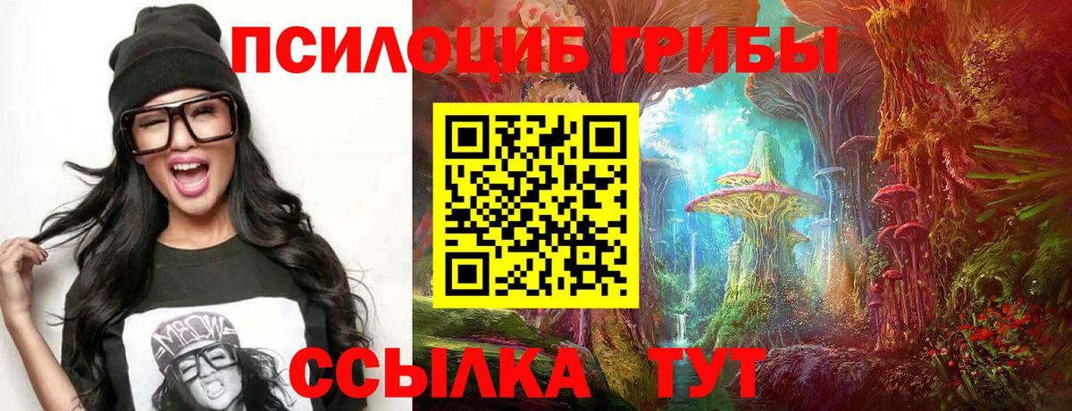 Павловский Посад  что такое наркотик  Псилоцибиновые грибы прущие грибы  Вход с VPN  Псилоцибиновые грибы прущие грибы 