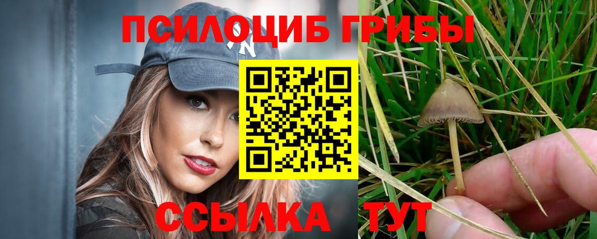 Псилоцибиновые грибы MAGIC MUSHROOMS  Псилоцибиновые грибы Cubensis  цены наркотик  Павловский Посад 