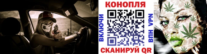 купить закладку  Павловский Посад  Каннабис THC 21% 